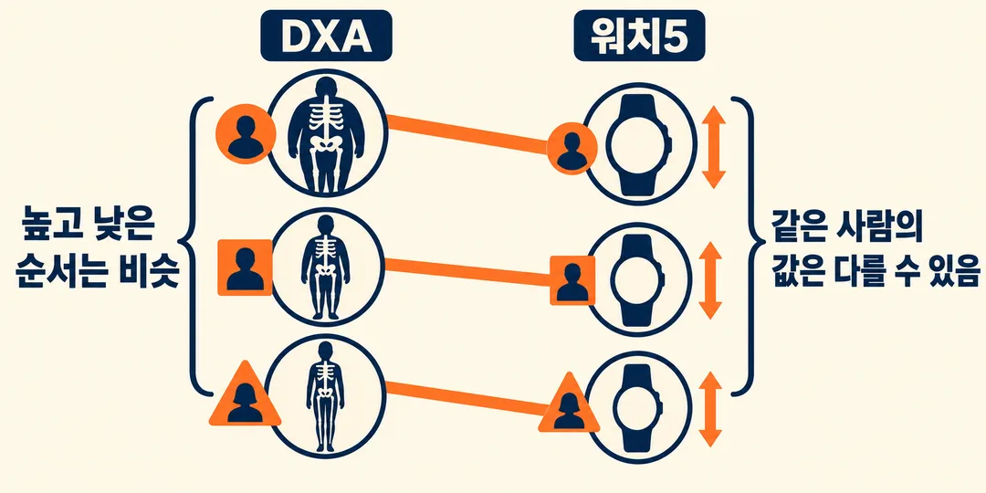 개념 그림. DXA와 워치5가 사람들의 순서를 비슷하게 잡는 모습과, 같은 사람의 값은 떨어질 수 있는 모습을 함께 보여 준다. 실제 연구 참여자의 측정값을 그린 도표는 아니다.