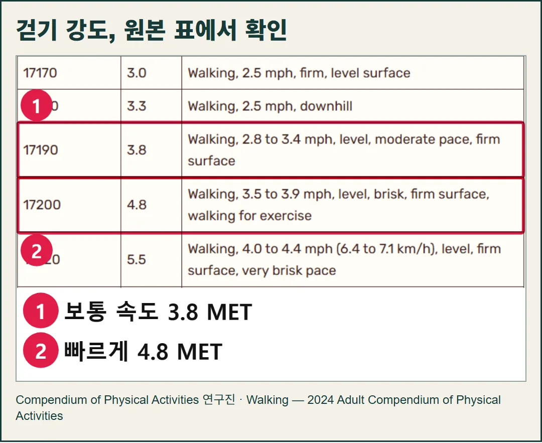 2024 성인 신체활동 분류표의 공식 걷기 항목 화면. 평지 걷기의 속도별 강도와 오르막 걷기 항목을 원본에서 확인할 수 있다.