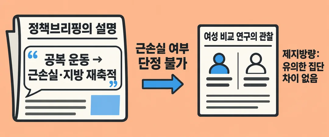 설명 그림. 정책브리핑의 근손실·지방 재축적 설명과 여성 비교 연구에서 제지방량 변화의 유의한 집단 차이가 없었다는 관찰을 구분하며, 근손실 여부를 단정할 수 없다고 표시한다.