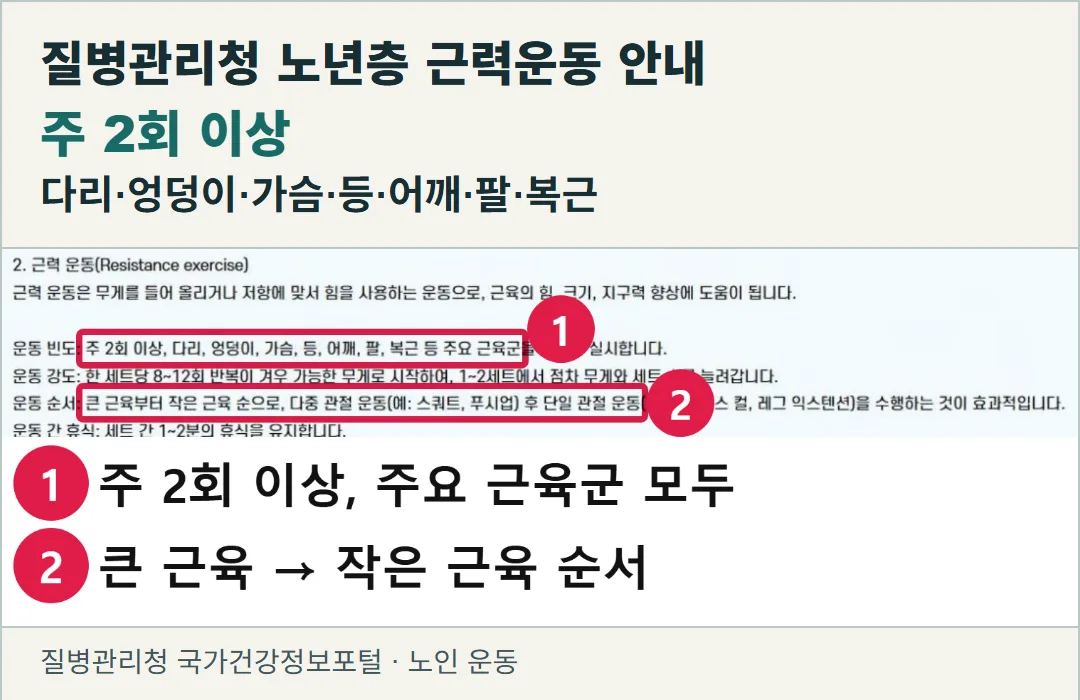 질병관리청 국가건강정보포털 ‘노인 운동’ 실제 화면. 노년층 근력운동 안내에 주 2회 이상과 다리·엉덩이·가슴·등·어깨·팔·복근 등 주요 근육군이 제시돼 있다.