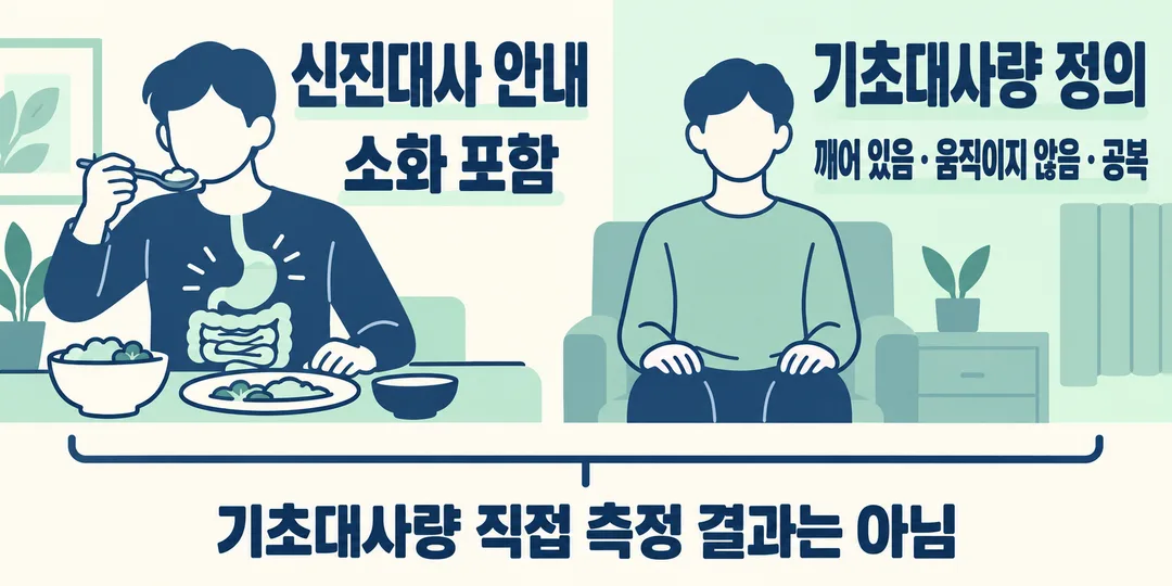 설명 그림. 식사와 소화를 포함하는 신진대사 안내, 깨어 있고 움직이지 않으며 공복인 상태의 기초대사량 정의를 나란히 구분한다.