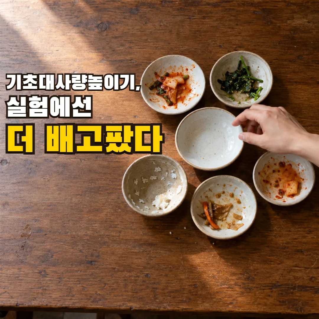 기초대사량높이기, 실험에선 더 배고팠다 — 여섯 작은 접시 가운데 텅 빈 접시와 그 위에서 멈춘 손