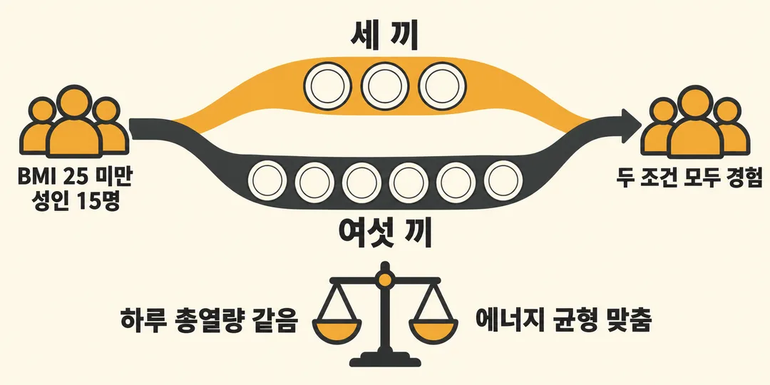 설명 그림. BMI 25 미만 성인 15명이 세 끼와 여섯 끼 조건을 모두 경험했고 하루 총열량과 에너지 균형을 맞췄다는 실험 구조를 보여 준다.