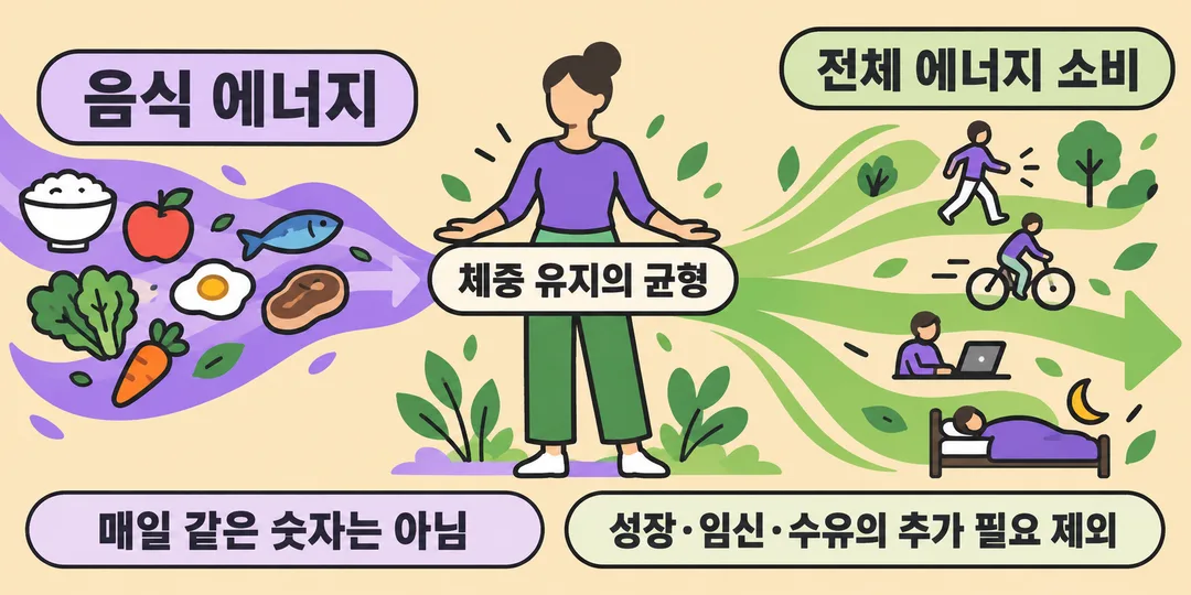 정보 그림. 추가 에너지 필요가 없는 성인의 체중 유지는 음식 에너지와 전체 소비의 균형으로 설명하며, 매일 같은 숫자를 맞춘다는 뜻은 아님을 보인다.