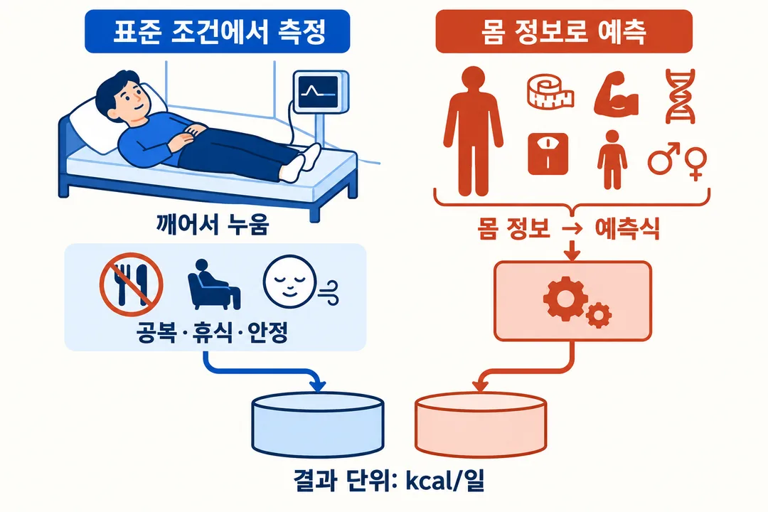 정보 그림. 표준 조건에서 측정하는 경로와 몸 정보를 식에 넣어 예측하는 경로를 나란히 보여 주며 두 결과 모두 kcal/일로 표시될 수 있음을 설명한다.