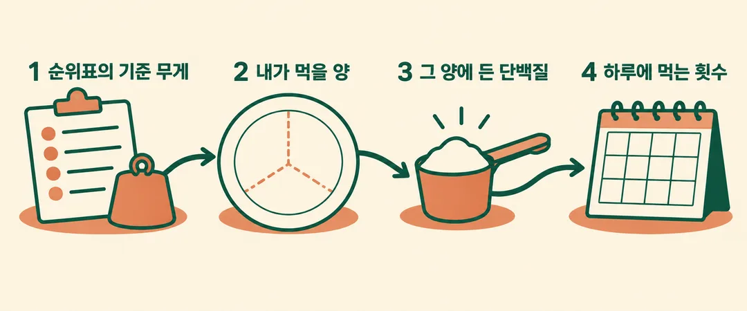 단백질 식품 순위표의 기준 무게, 먹을 양, 그 양의 단백질, 하루 횟수를 차례로 확인하는 설명 그림