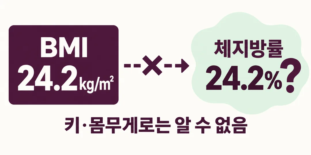 설명 그림. BMI 24.2kg/m² 결과와 체지방률 24.2%라는 추측 사이를 끊어, 키와 몸무게만으로 체지방률은 알 수 없음을 보여 준다.