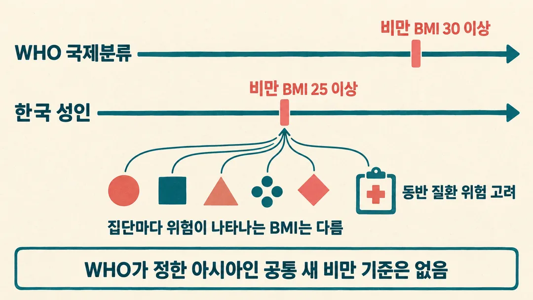WHO 국제분류와 한국 성인의 비만 기준을 나란히 놓고 건강 위험을 고려하는 맥락을 설명한 도해.