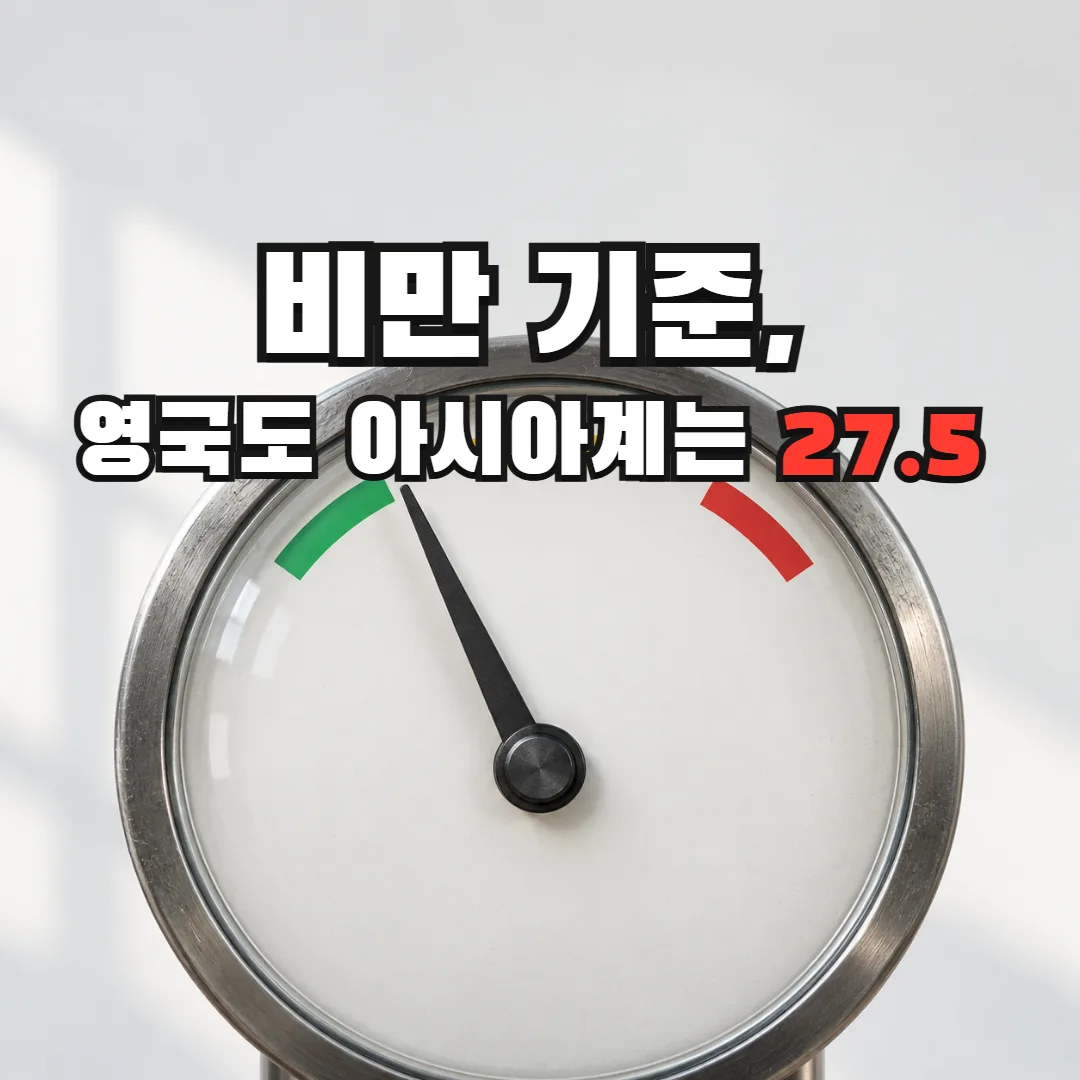 비만 기준, 영국도 아시아계는 27.5 — 한 위치에 멈춘 바늘과 서로 다른 세 경계선