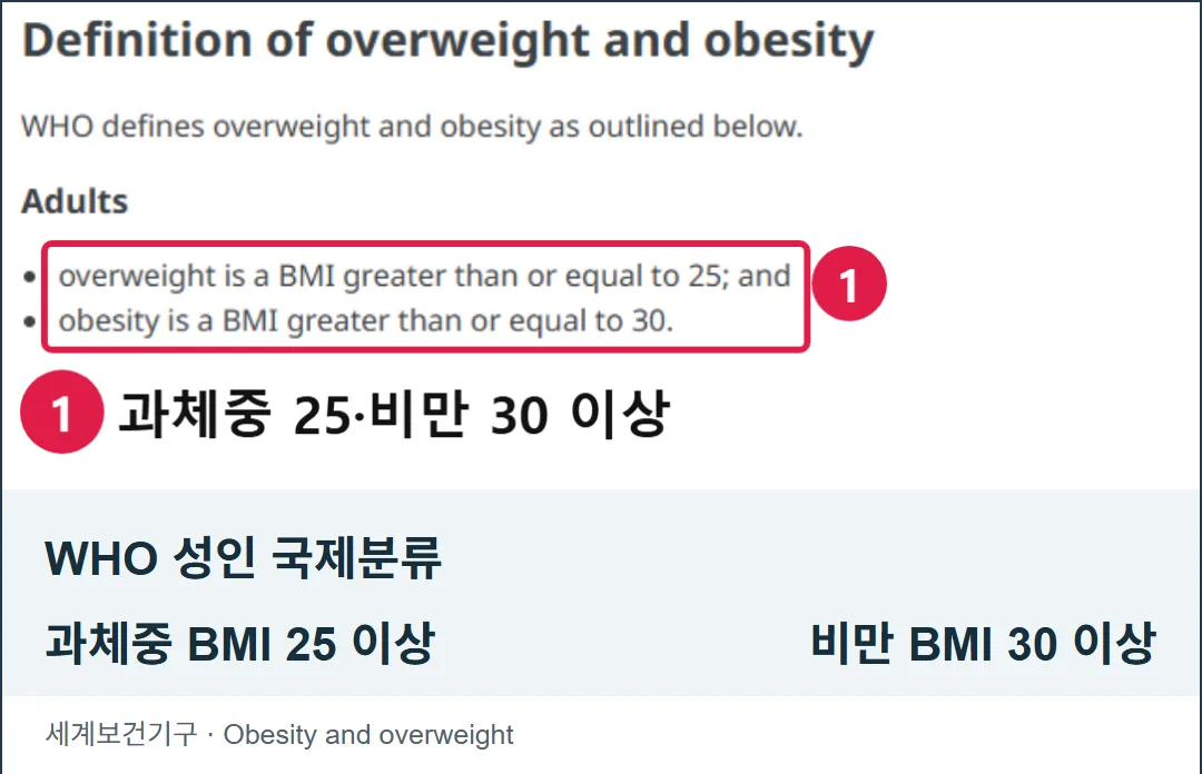 세계보건기구 공식 안내 화면과 성인 BMI 분류 요약. 실제 화면 자료.
