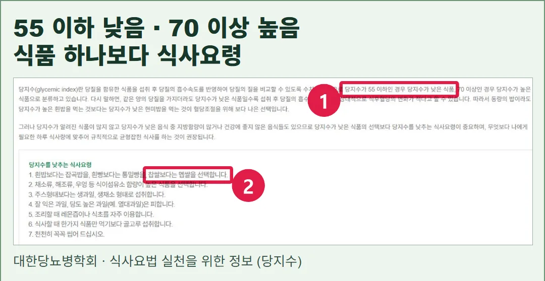 대한당뇨병학회 ‘식사요법 실천을 위한 정보 (당지수)’ 실제 화면. GI 55 이하와 70 이상 경계 및 식사요령 안내가 보인다.