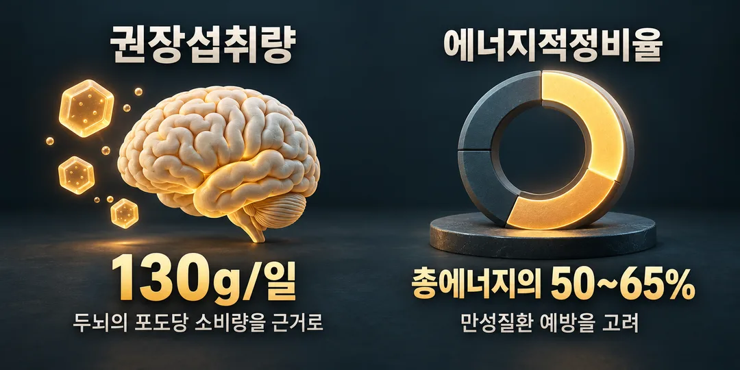 기준 설명 그림. 두뇌의 포도당 소비량을 근거로 한 권장섭취량 130g/일과 만성질환 예방을 고려한 총에너지의 50~65%를 서로 다른 목적의 기준으로 보여 준다. 음식이나 식품 무게는 그리지 않았다.