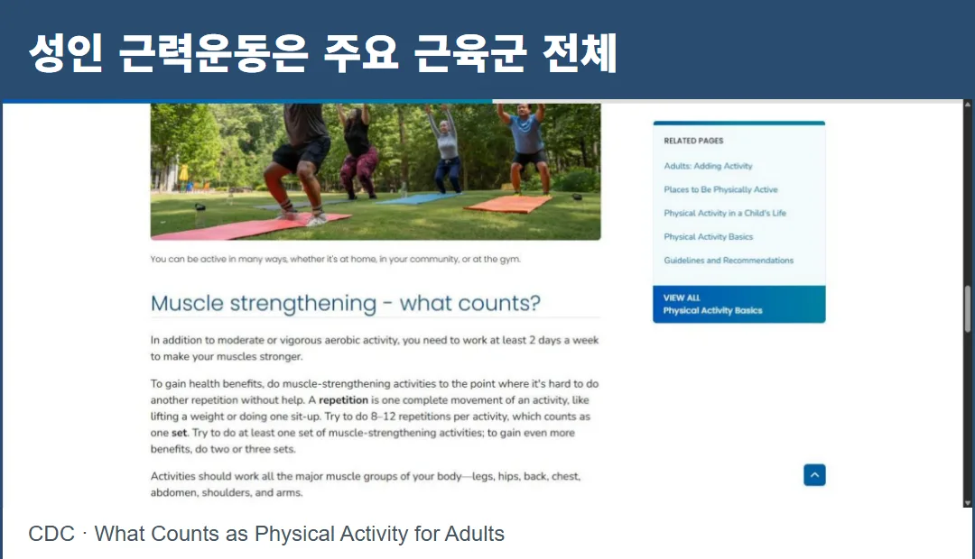 CDC 공식 안내 화면. 근력운동 주 2일 이상과 다리·엉덩이를 포함한 주요 근육군 전체에 관한 문장이 보인다. 그림이 아니다.