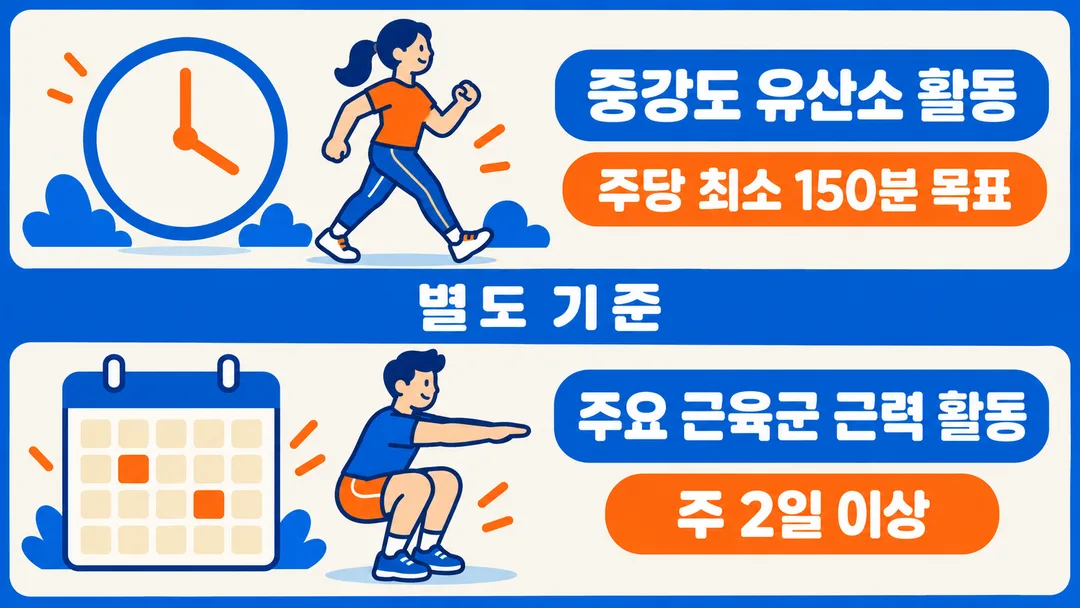 시계로 보는 주당 중강도 유산소 활동 최소 150분 목표와 달력으로 보는 주요 근육군 근력 활동 주 2일 이상을 나란히 구분한 설명 그림.